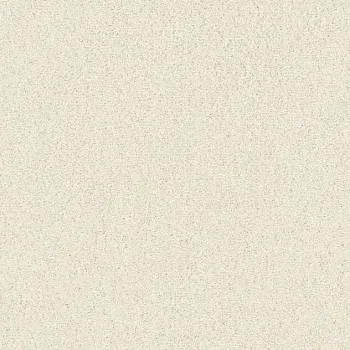 Draufsicht Girloon TWIN Teppichboden Velours 810 Hellbeige, 2/4 m breit